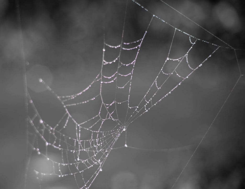 mesh network UK