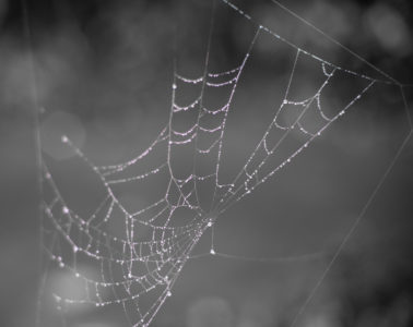 mesh network UK
